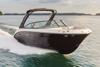 Sea Ray SDX 250