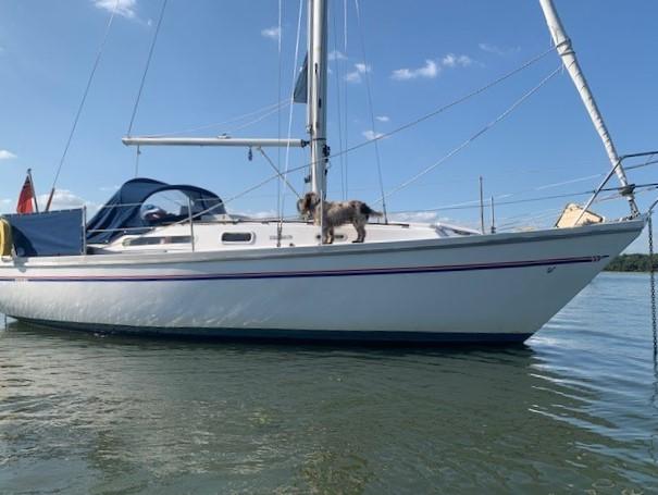 1989 Sadler 29 Cruiser for sale - YachtWorld