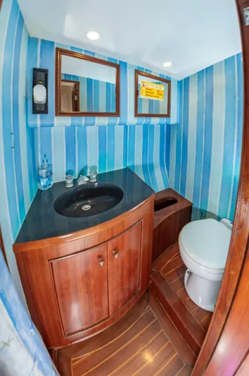 Carolina Girl Yacht Photos Pics 1993 Jarrett Bay Convertible yacht bathroom with blue striped walls and wooden cabinetry.