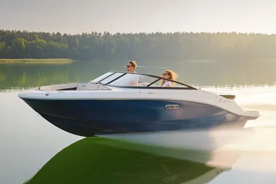 Sea Ray SPX 190