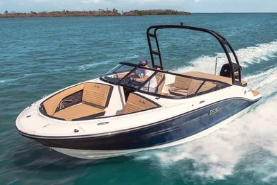 Sea Ray SPX 190 Outboard