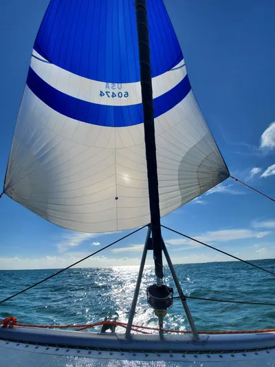  Yacht Photos Pics Sailing on a Leopard 46 catamaran with blue and white sails under a clear sky.