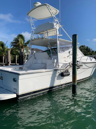  Yacht Photos Pics 1999 Tiara Yachts 43 Open docked in sunny marina.