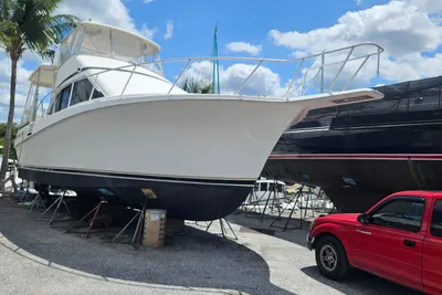 Ocean Motor Yacht