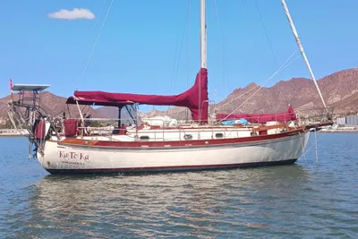 Tayana 37