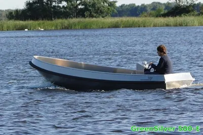 2026 Greensilver 500-e