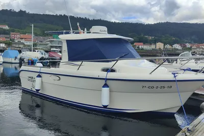 2010 Ocqueteau 645