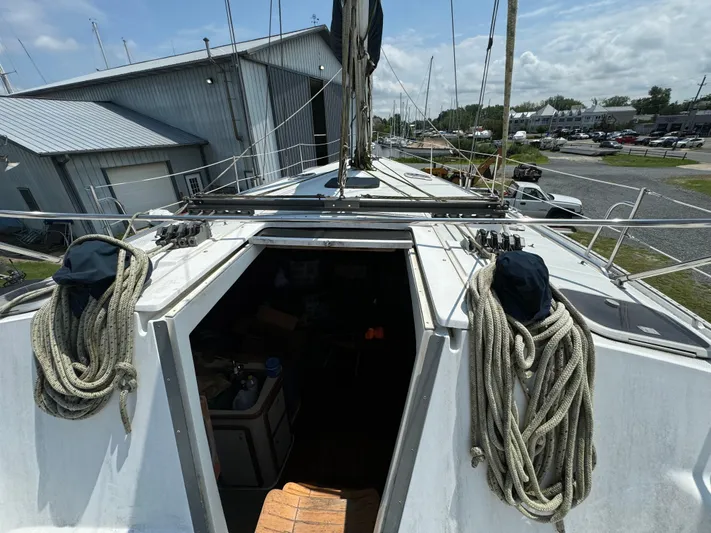 Hms Fox Yacht Photos Pics Companionway