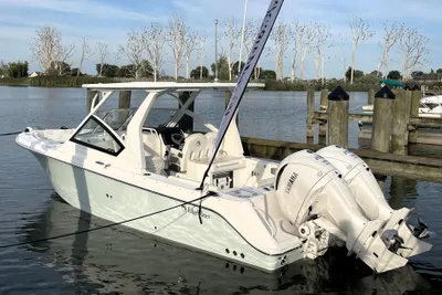 Edgewater 262CX Crossover