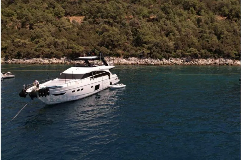  Yacht Photos Pics 2014 Princess Flybridge 82 Motor Yacht anchored near a lush, forested shoreline.