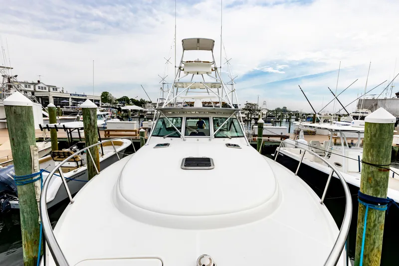 Stella Blue Yacht Photos Pics 