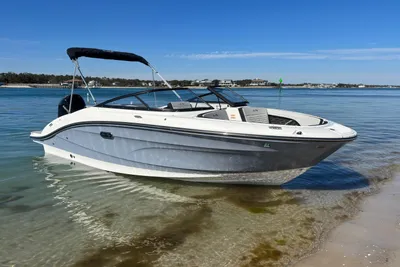 Sea Ray SPX 210 Outboard