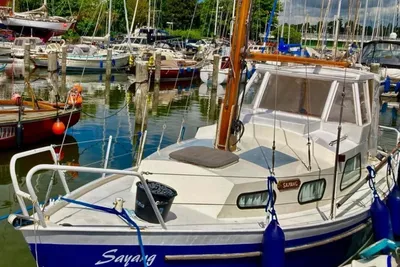 1982 Custom Domp 770