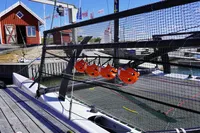 M32 one design - Berthon Scandinavia