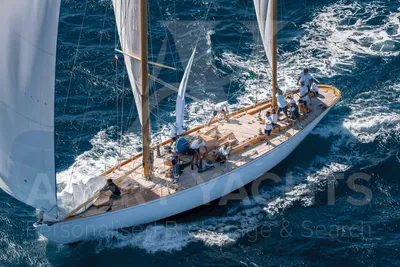 Frers 20m