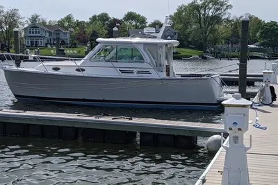 Back Cove 30