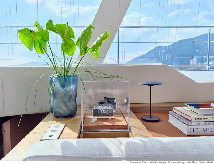 Dawn Yacht Photos Pics Luxurious Sunreef 60 yacht interior with plant, camera display, and books, 2019 model.