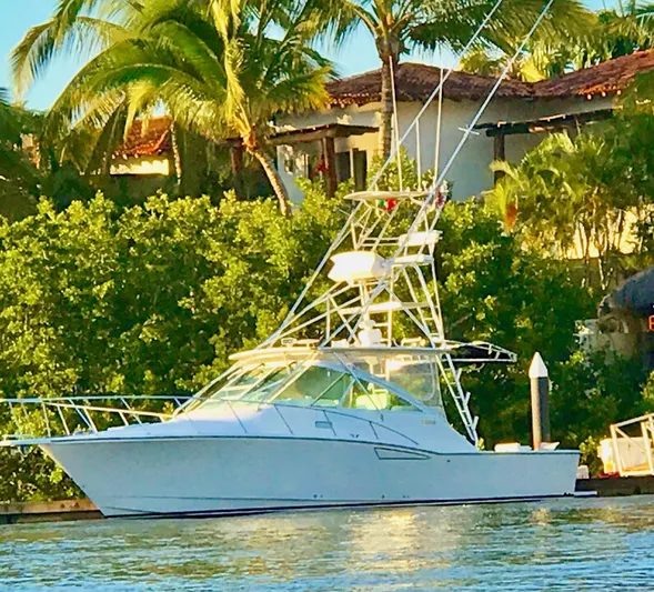 Nailed It Yacht Photos Pics 
