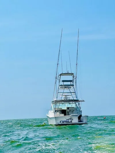 Nailed It Yacht Photos Pics 