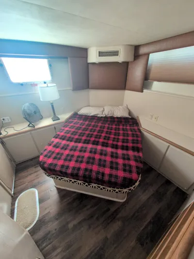 New Moon Yacht Photos Pics 