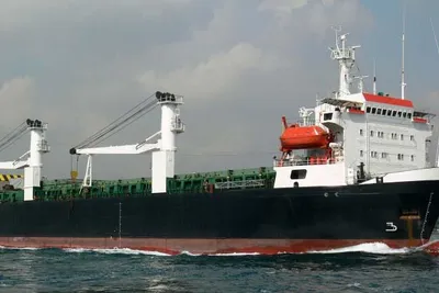 Custom Geared Heavy Lift RoRo