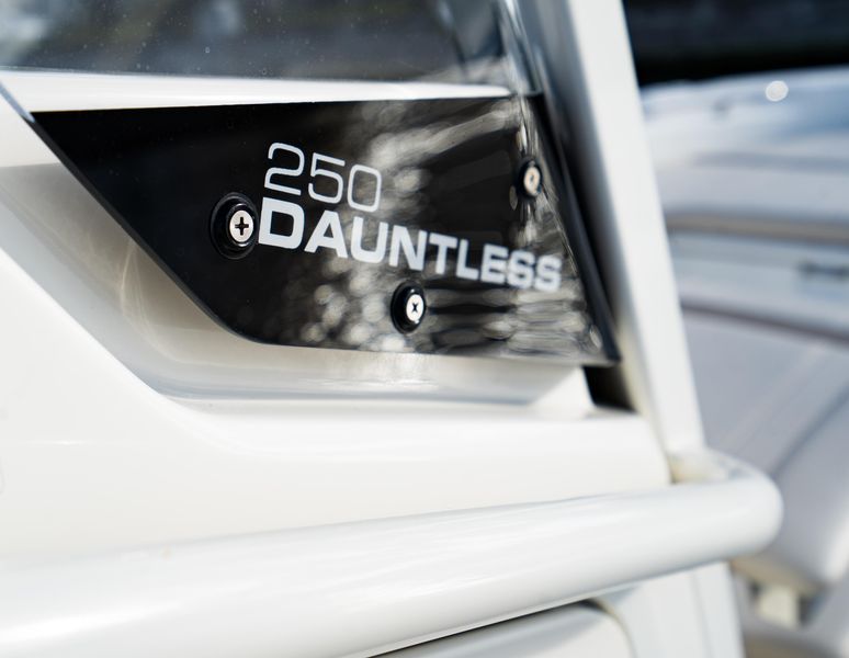 2022 Boston Whaler 250 Dauntless