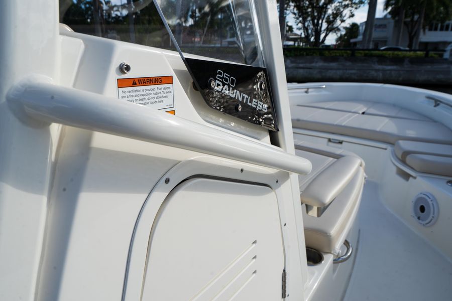 2022 Boston Whaler 250 Dauntless