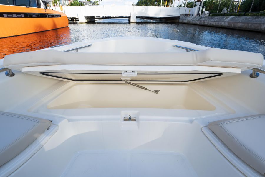 2022 Boston Whaler 250 Dauntless