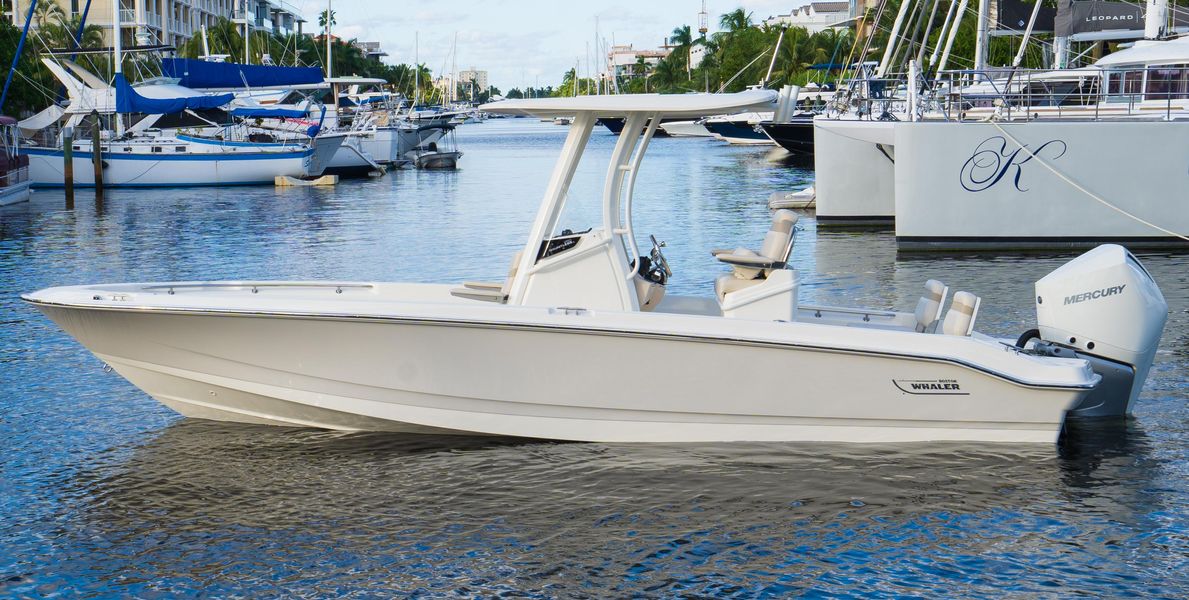 2022 Boston Whaler 250 Dauntless