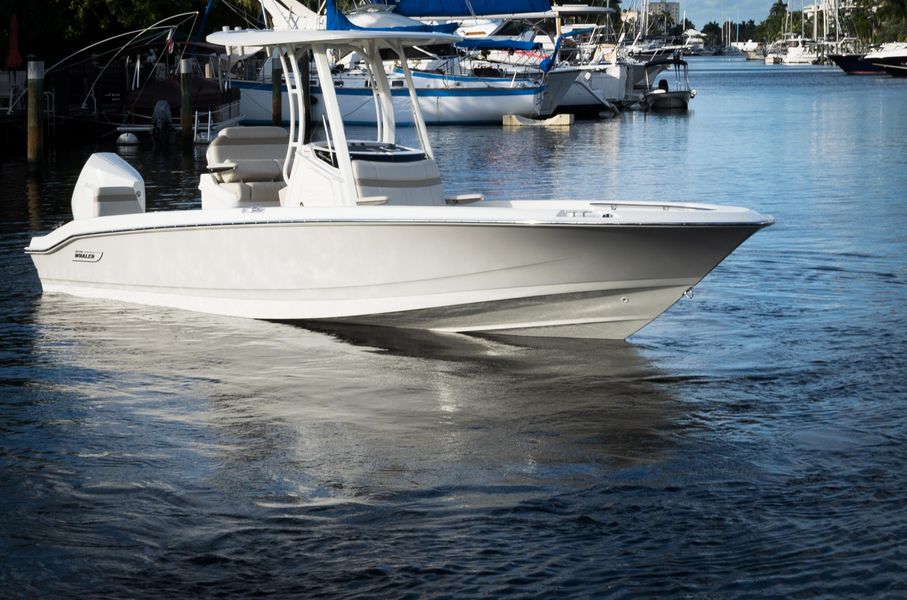 2022 Boston Whaler 250 Dauntless