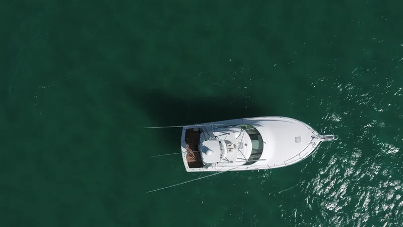 Brown Eyed Girl Yacht Photos Pics Aerial view of 2014 Viking 42 Sport Tower yacht on green water.