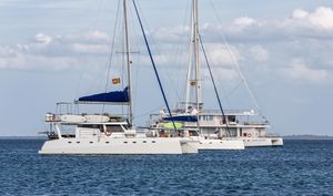 Custom Ceycat 53