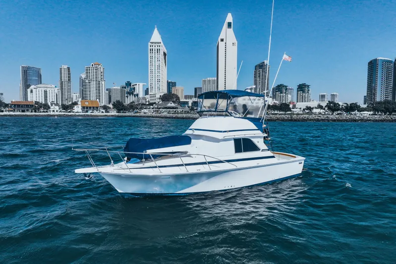 Barefoot Girl Yacht Photos Pics 1984 Bertram 35 Convertible yacht on water with city skyline backdrop.