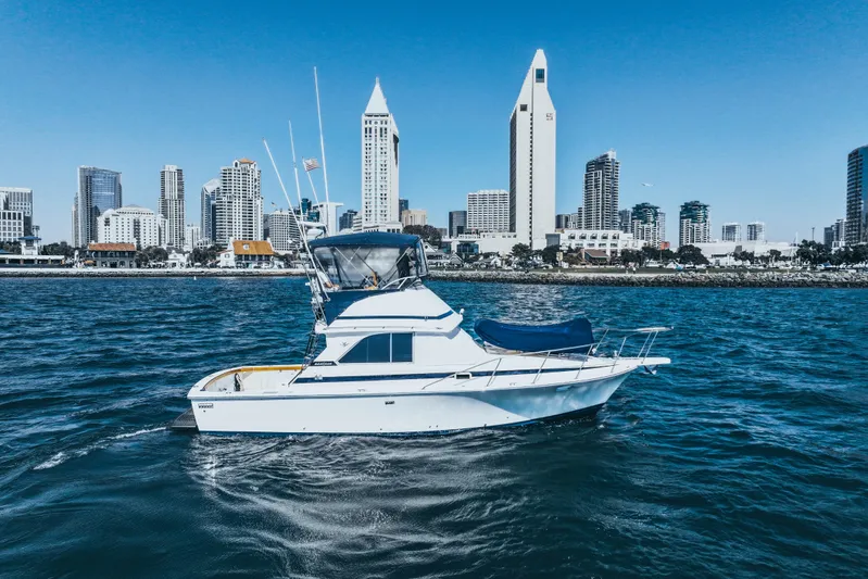 Barefoot Girl Yacht Photos Pics 1984 Bertram 35 Convertible yacht cruising near city skyline on a sunny day.