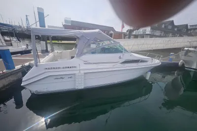 1991 Sea Ray Sundancer 220DA