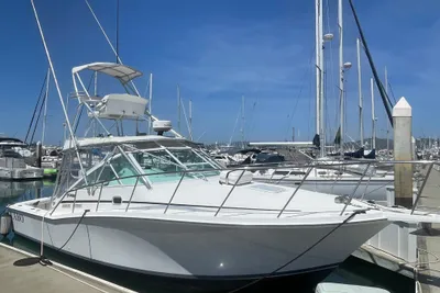 Cabo 31 Express