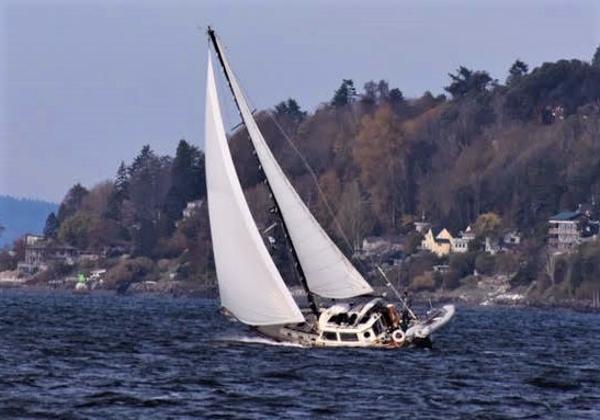 1988 Ta Shing Tashiba