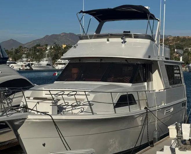 Al Di La Yacht Photos Pics 