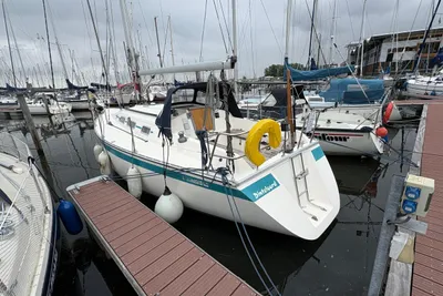 1993 Friendship 33