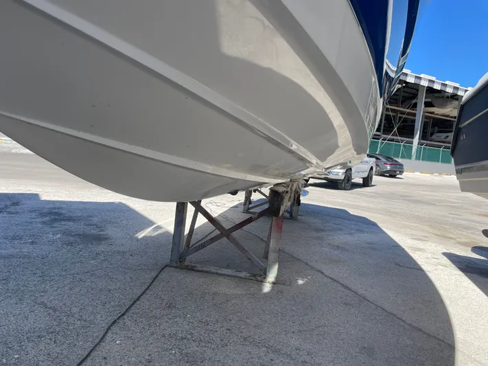 Andiamo Yacht Photos Pics 