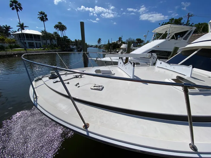  Yacht Photos Pics 1982 Bertram 46.6 War Wagon yacht docked in sunny marina with palm trees.