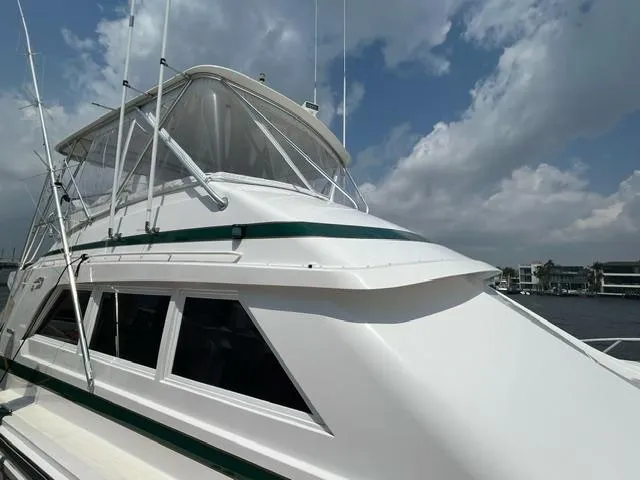 Viejo Man Yacht Photos Pics 