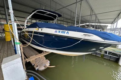 Sea Ray SDX 290