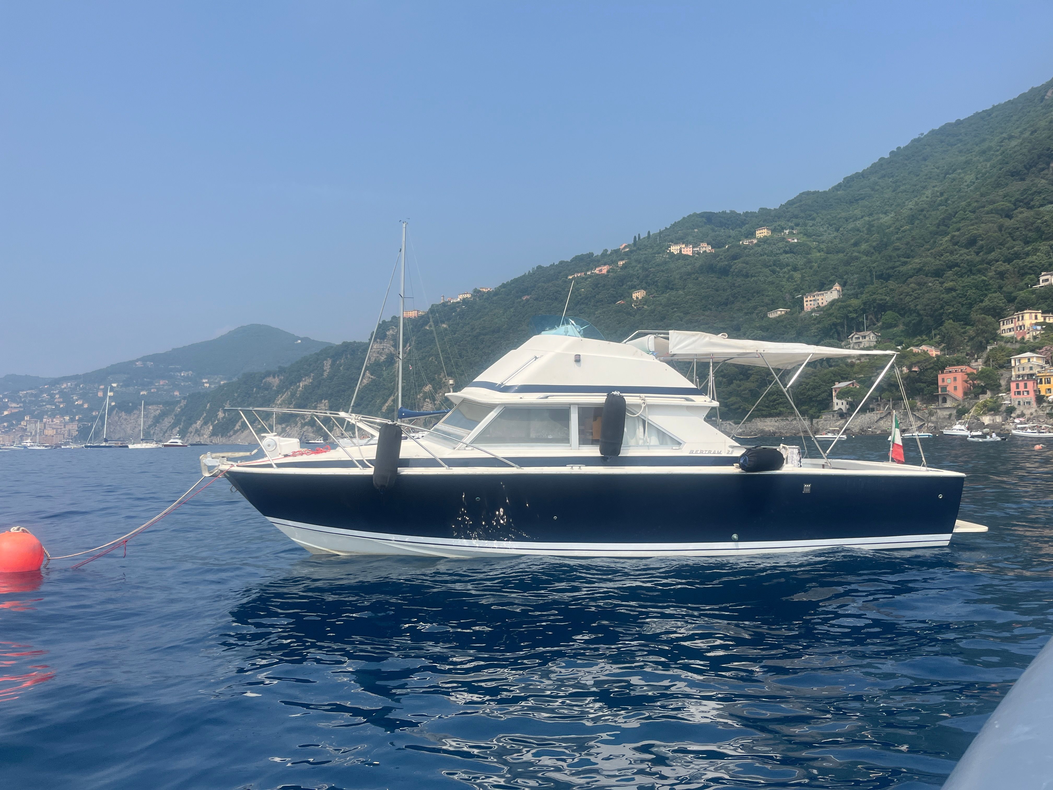 1973 Bertram 28 Flybridge Cruiser