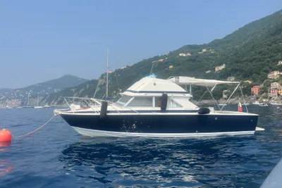 1973 Bertram 28 Flybridge Cruiser