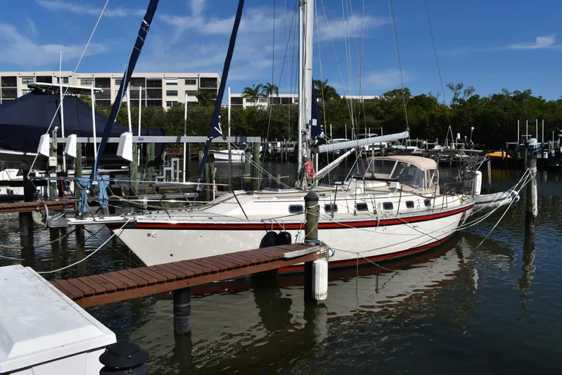 Jellyfish Problems Yacht Photos Pics 
