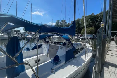 Catalina 320