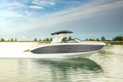 2025 Sea Ray SDX 290