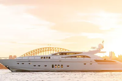 Arno Leopard 34