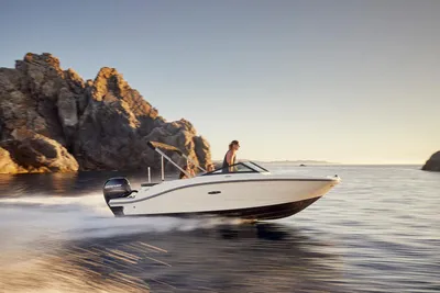 2025 Sea Ray SPX 190 Outboard